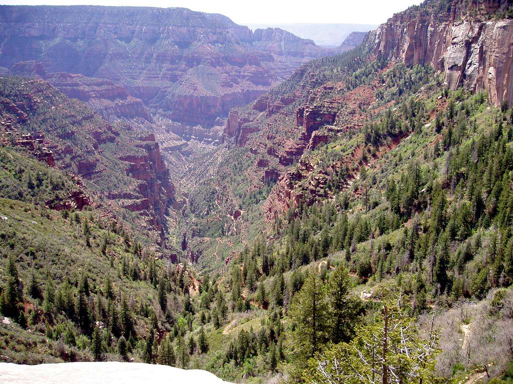 Roaring Springs Canyon and the North Kaibab