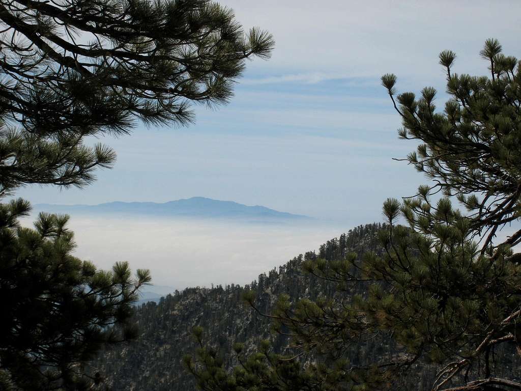 Twin Peaks (east summit), San Gabriel Mtns.