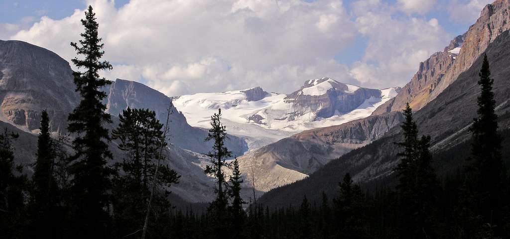 Peyto Glacier and peak