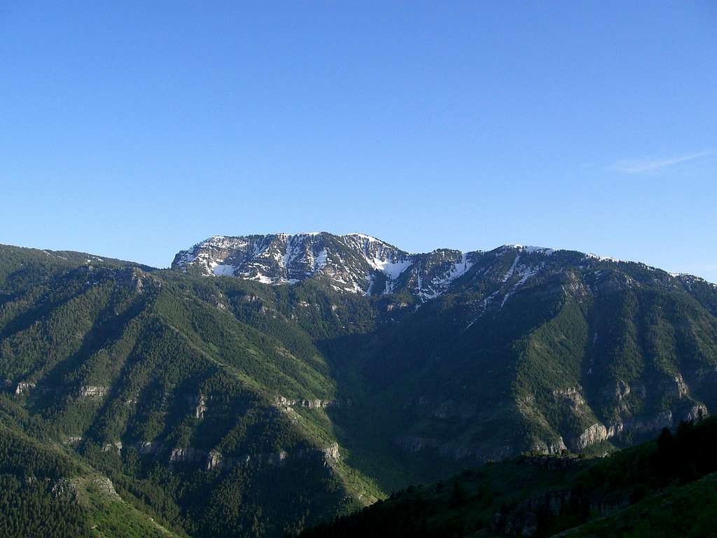 Mount Logan from Across Logan Canyon