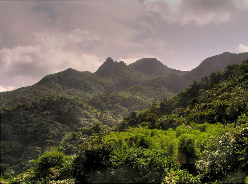 Pico El Yunque