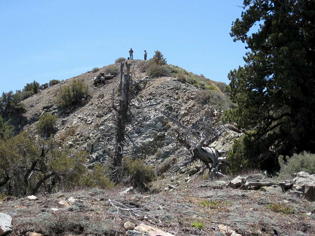 Summit of Iron Mtn.#1 from North Ridge