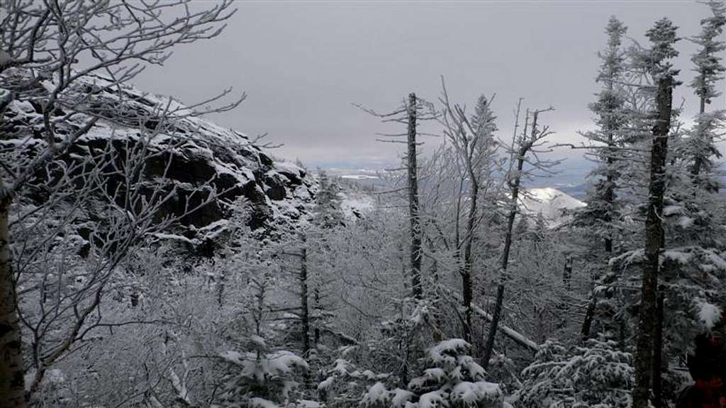 False Summit on the way to Algonquin