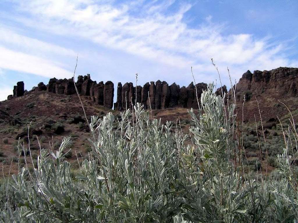 The Feathers from Camp