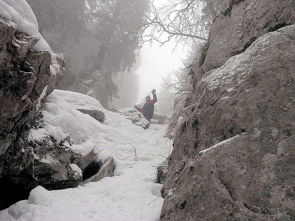 Bijele stijene (1335 m)