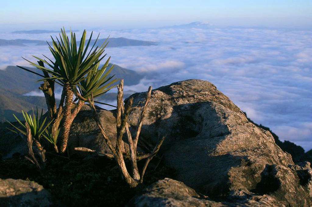 View from Pico de Catas Altas