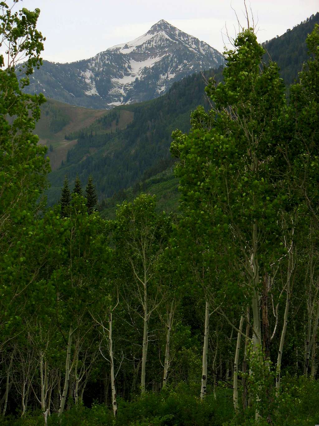 Cascade Mountain from Alpine Loop