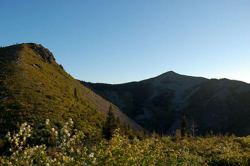 The N ridge of Bluff Mt and the NE face of Little Baldy
