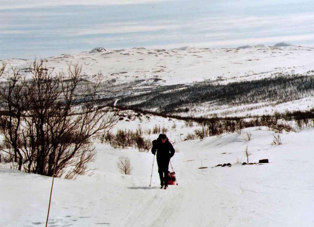 Hardangervidda