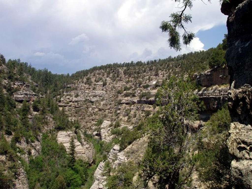 Walnut Canyon Landscape