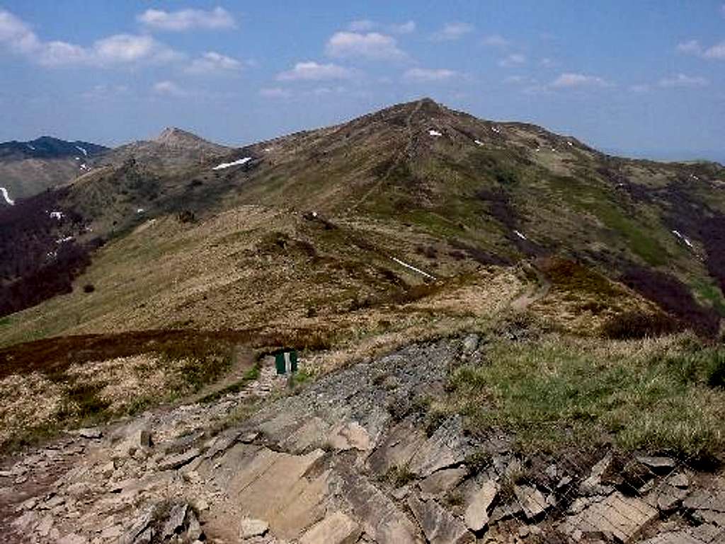 Mount Halicz ( 1333 m )