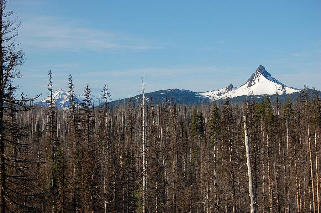 North and Middle Sister and Mt. Washington from near Santiam Pass