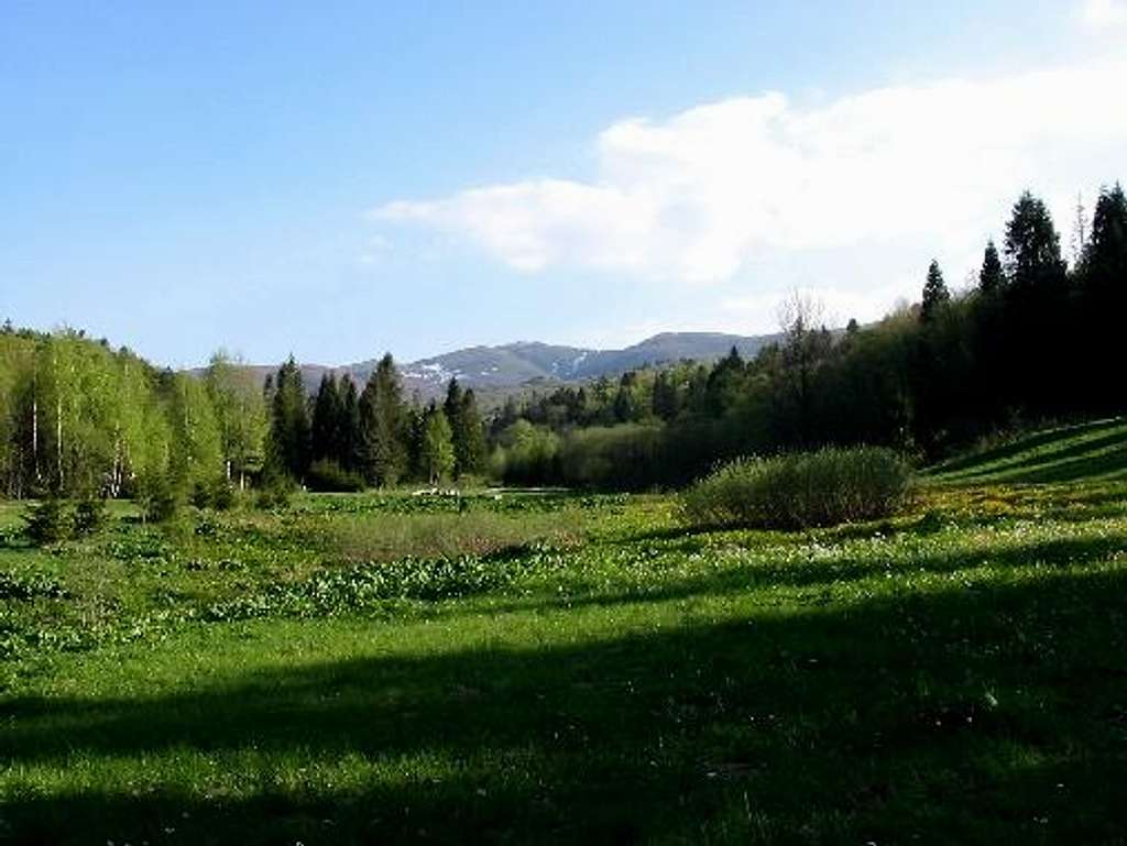 Springtime in Bieszczady Mountains