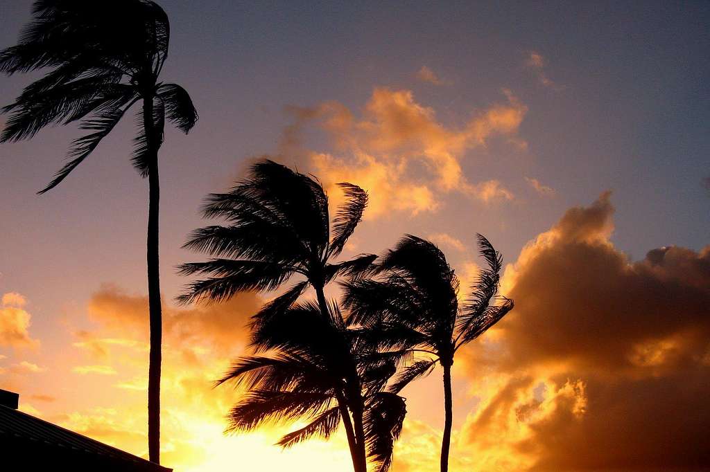 Sunset in Oahu