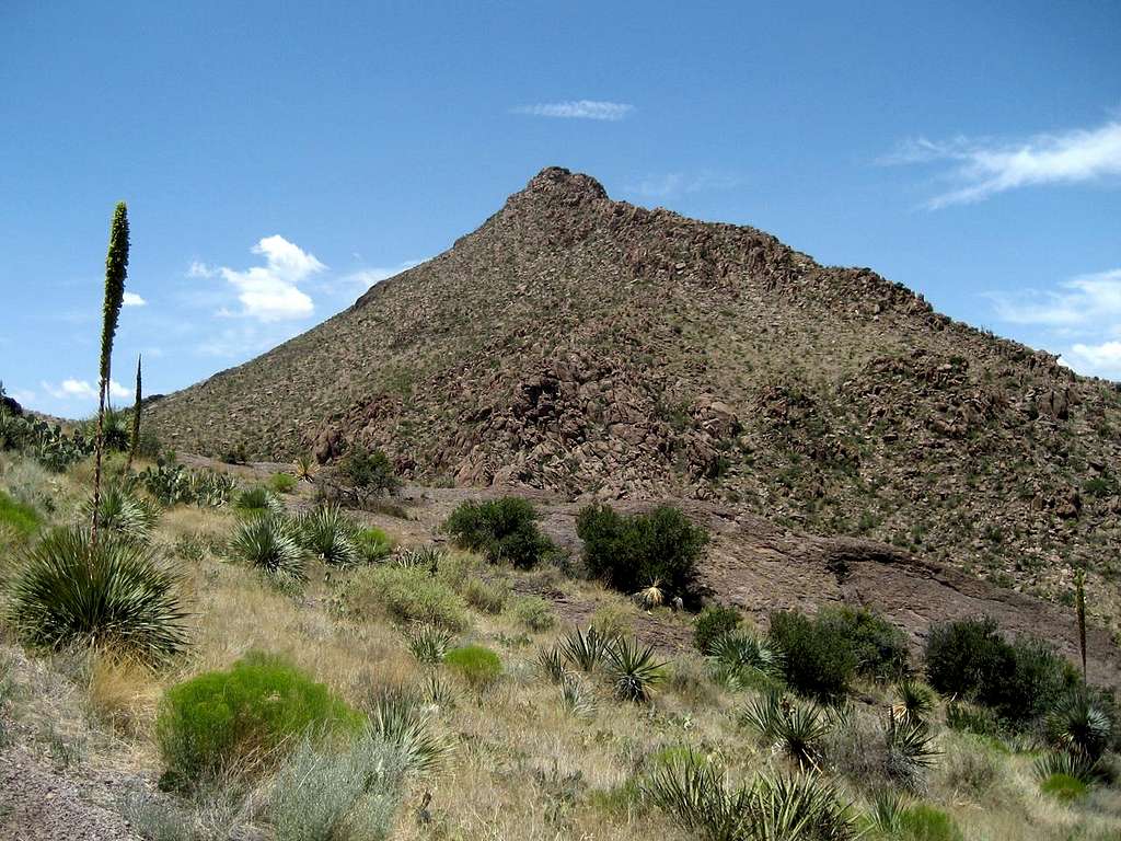 Point 5710 in the Doña Ana Mountains
