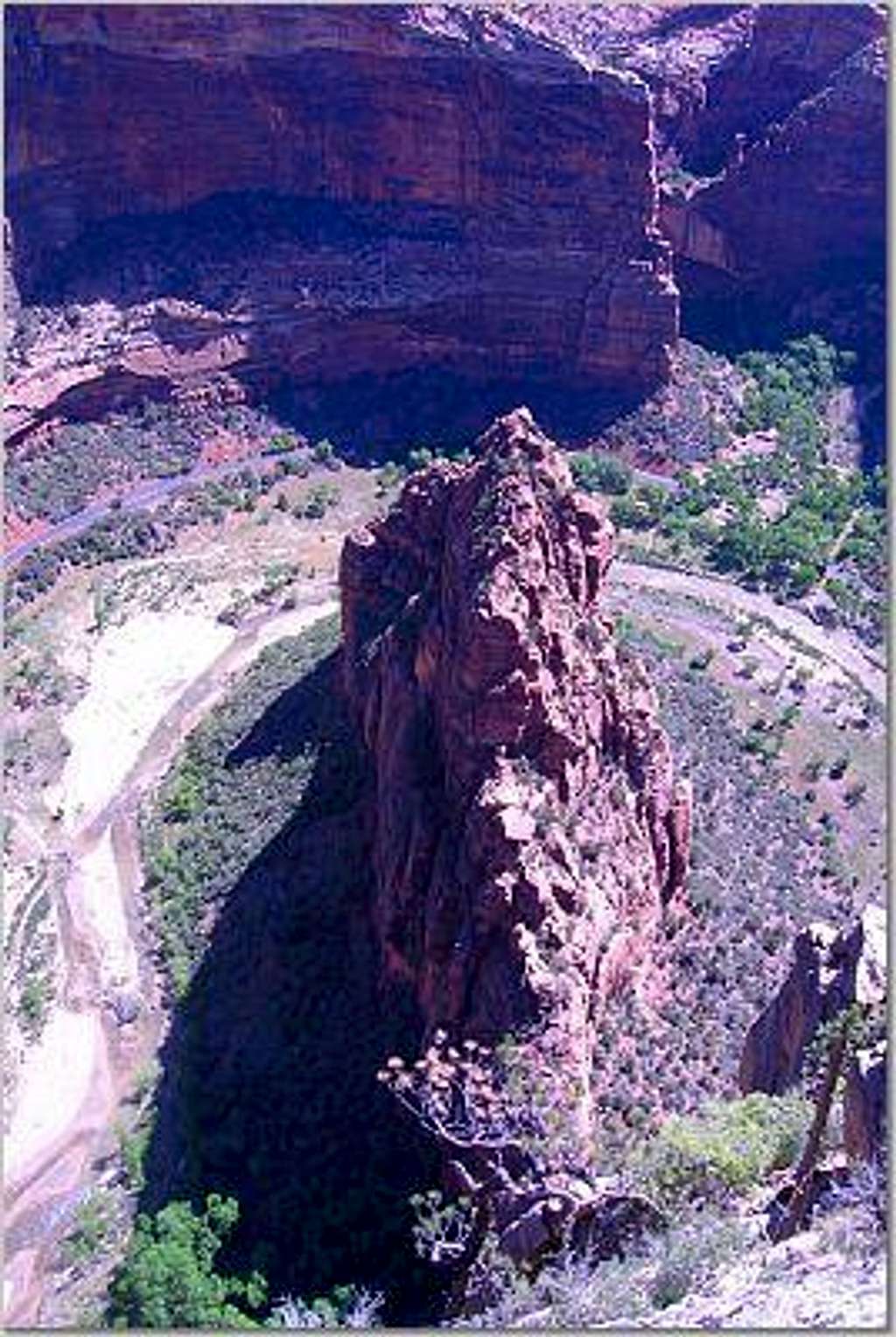 The Organ, Zion National Park