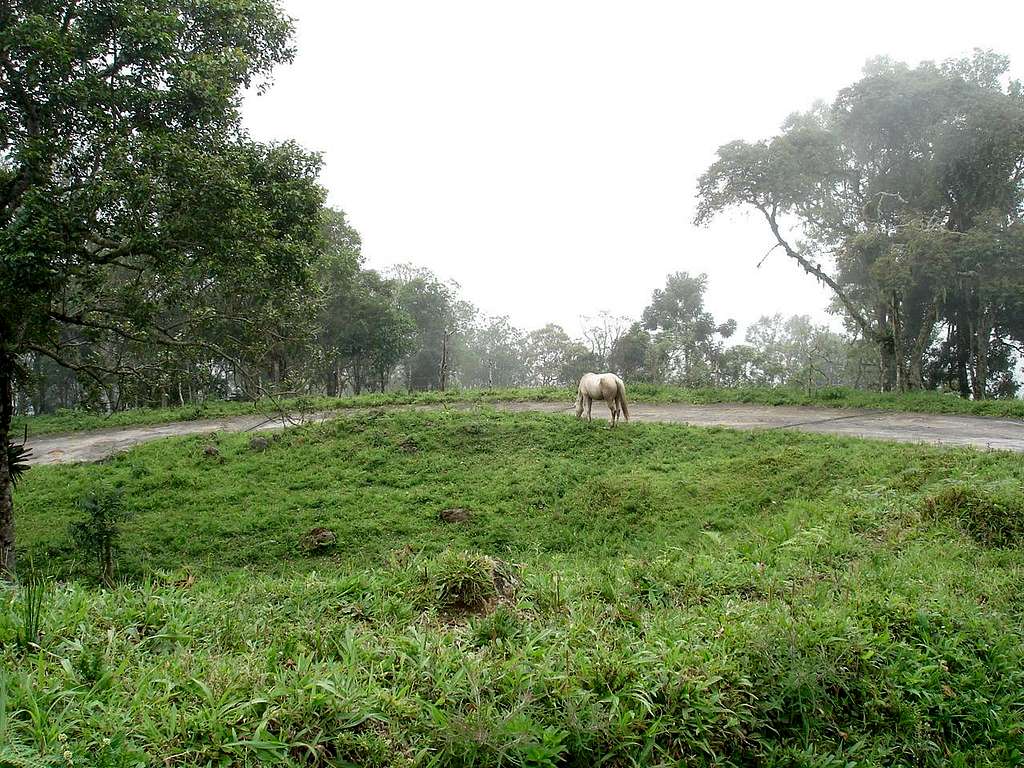 Road to Pedra da Macela