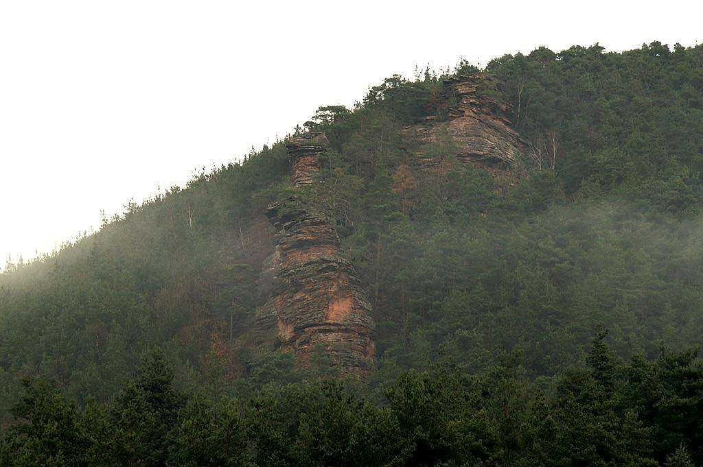 Hidden in trees and fog: Höllenfelsen