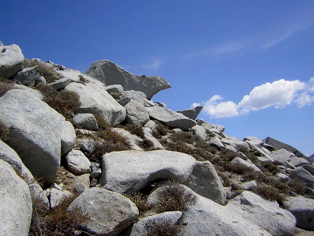 Bear & seal rock shapes