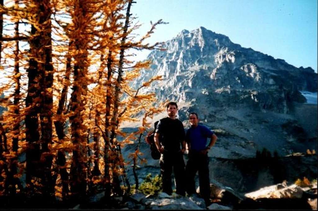 October 5, 2003. Larch trees...