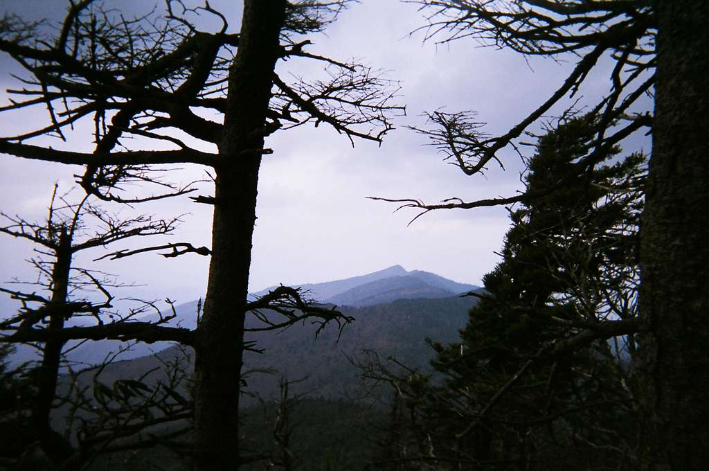 Looking North along the Black Mountain Crest