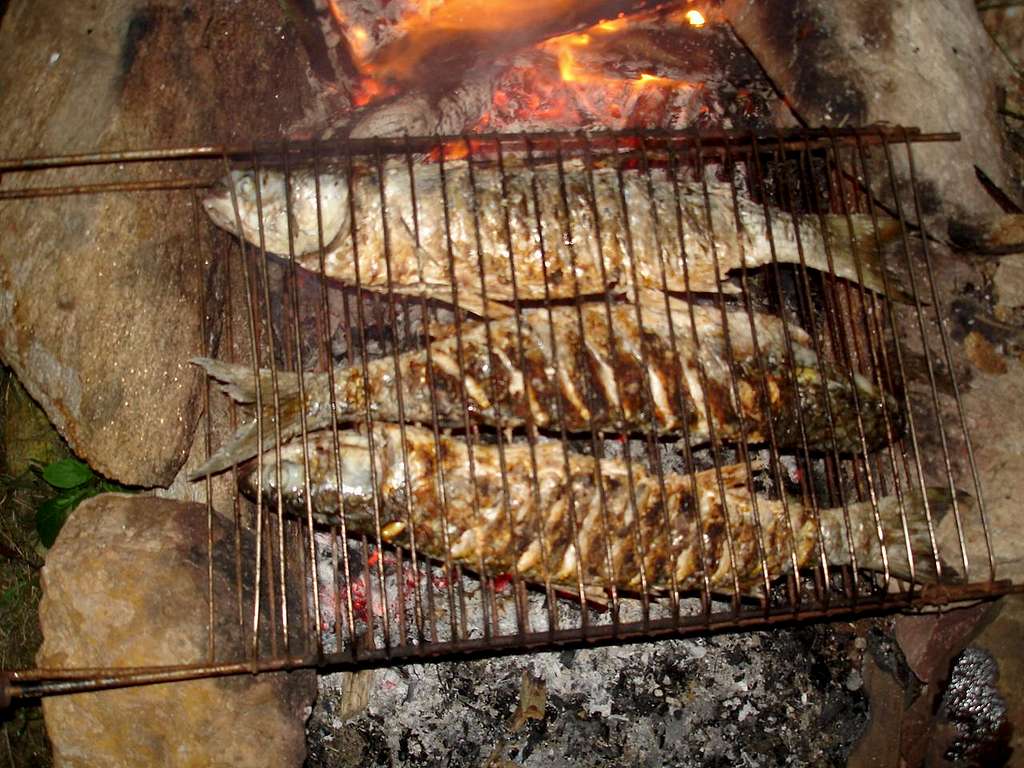 Grilled Fish??? Yes !!!