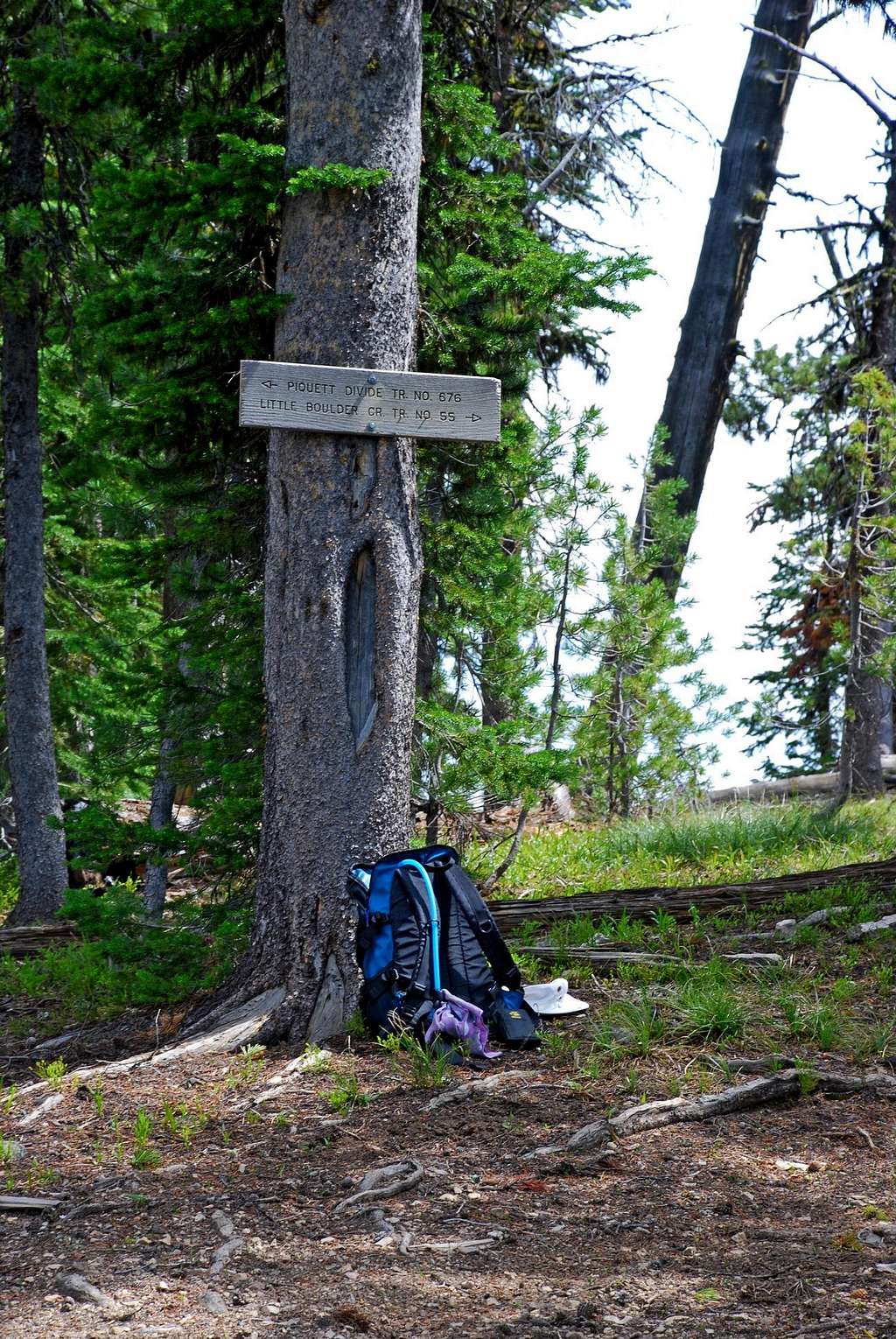 Trail Sign