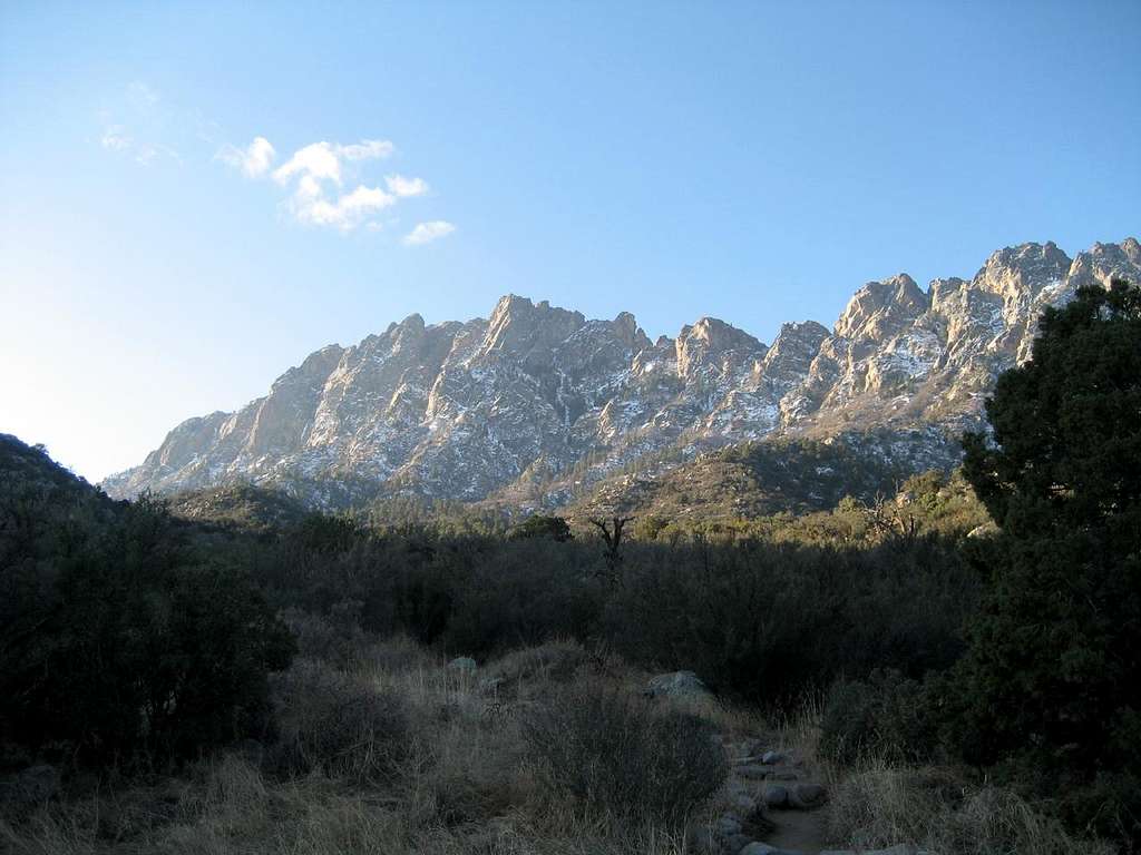 Organ Mountains from the Pine Tree Trail