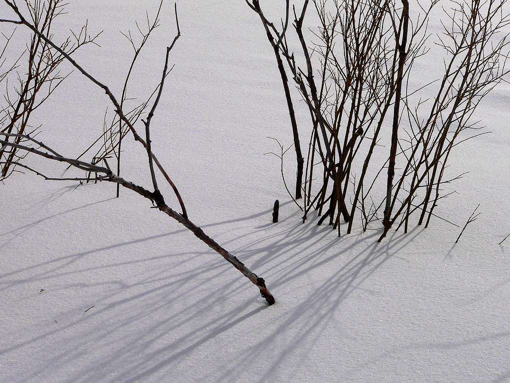 Shadows on Snow