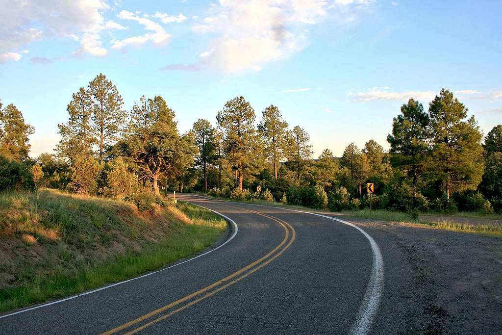 Road to the Gila Wilderness