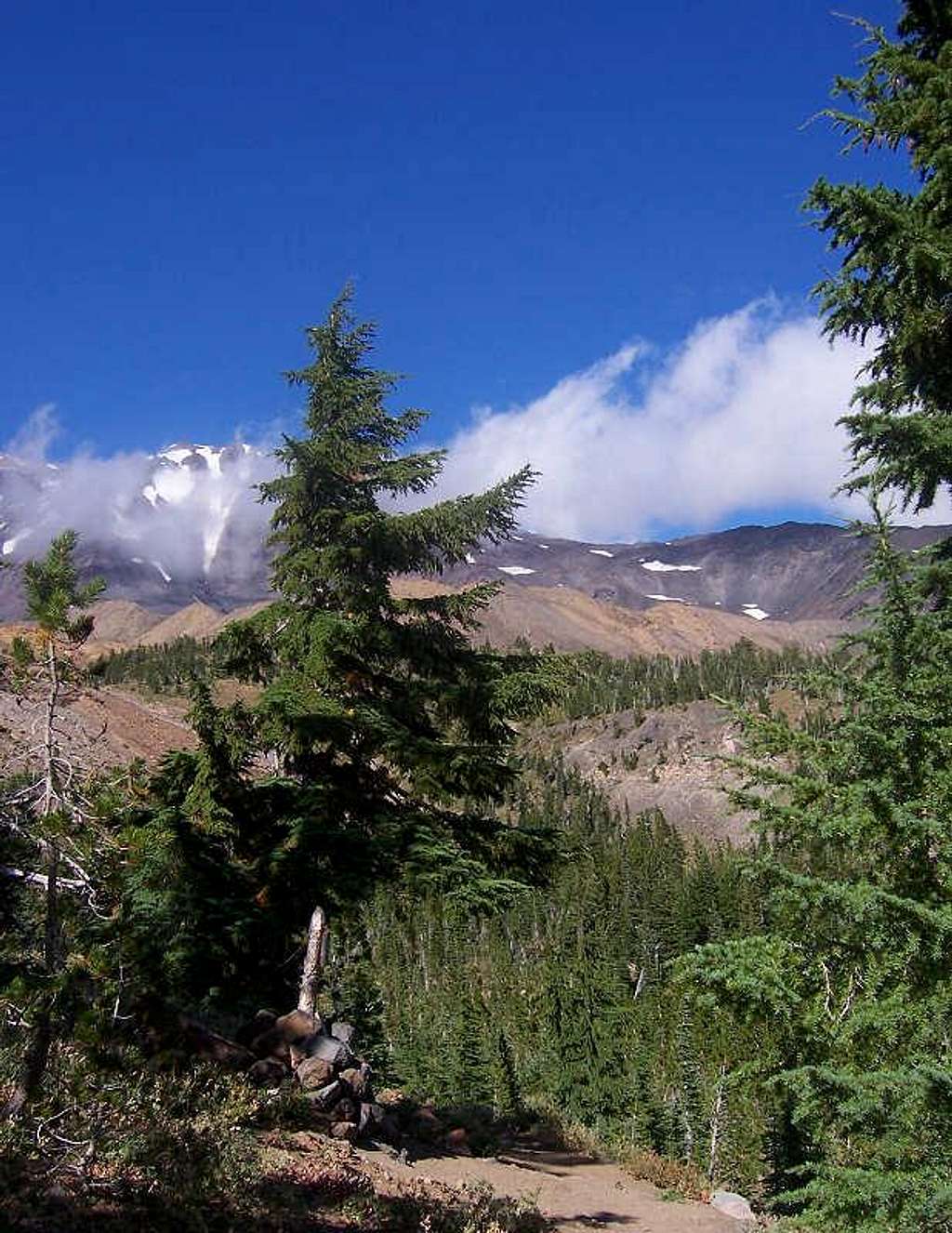 Mount Adams from trail