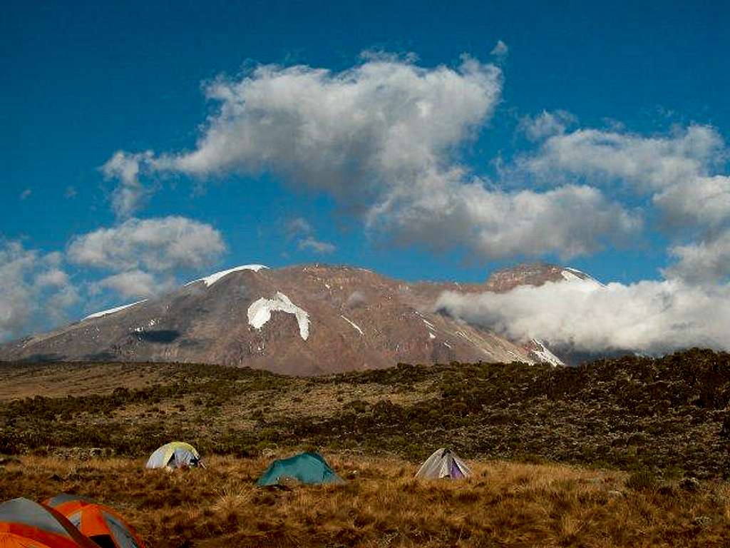 Kilimanjaro - New Shira Camp...