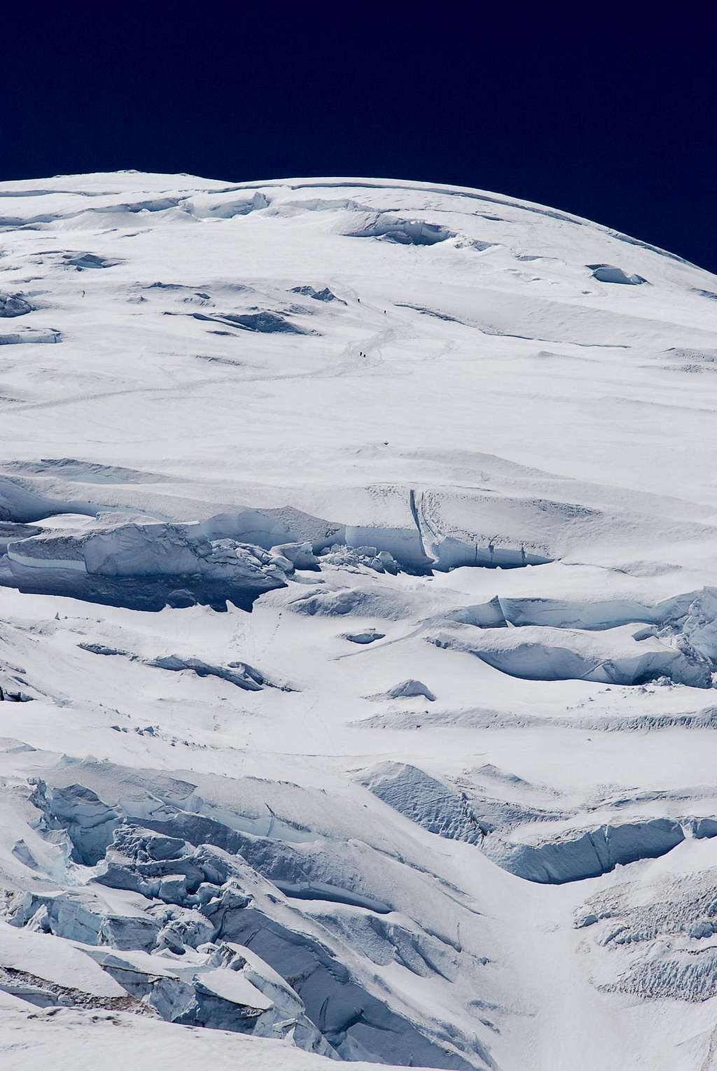 Rainier, climbers and the crevasse field