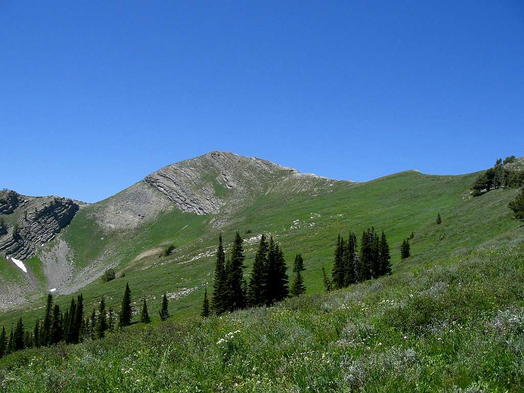 Cherry Peak from the South
