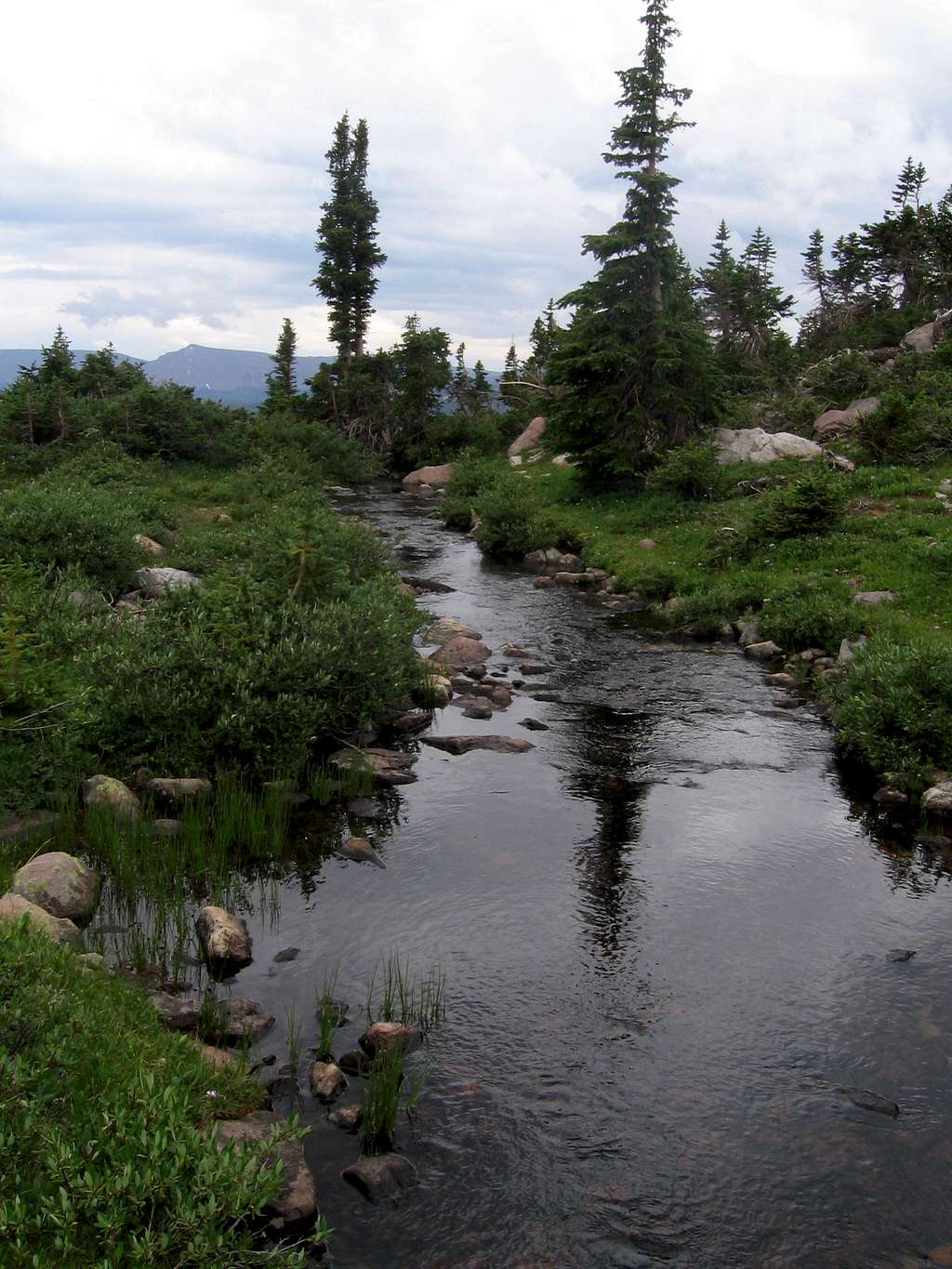 creek in Naturalist Basin