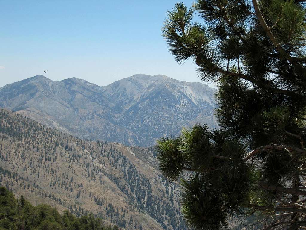 Mt. Baldy (10,064') (CR)  from Ridge Descending from Throop Peak