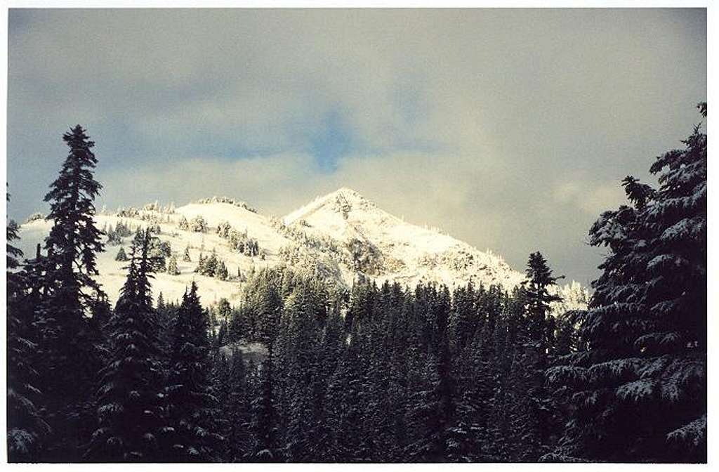 Silver Peak from the...