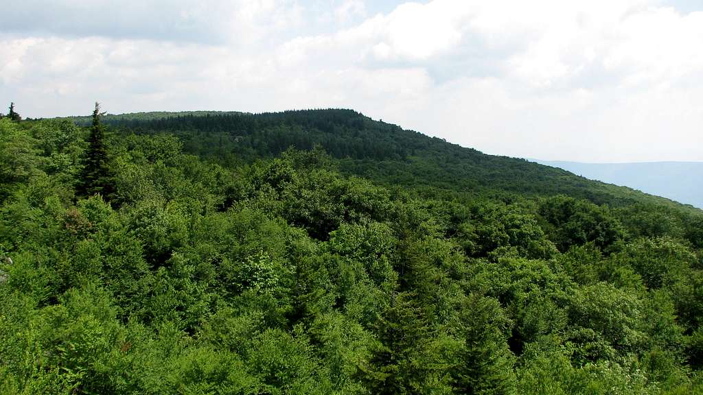 Looking toward Bear Rocks