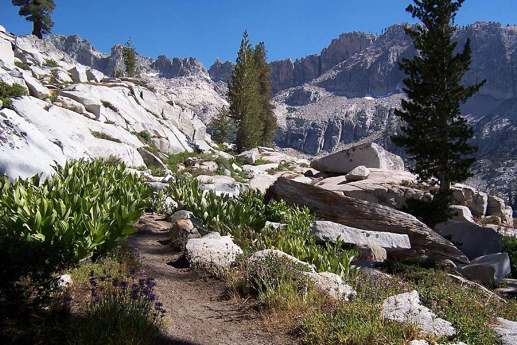 Pear Lake Trail