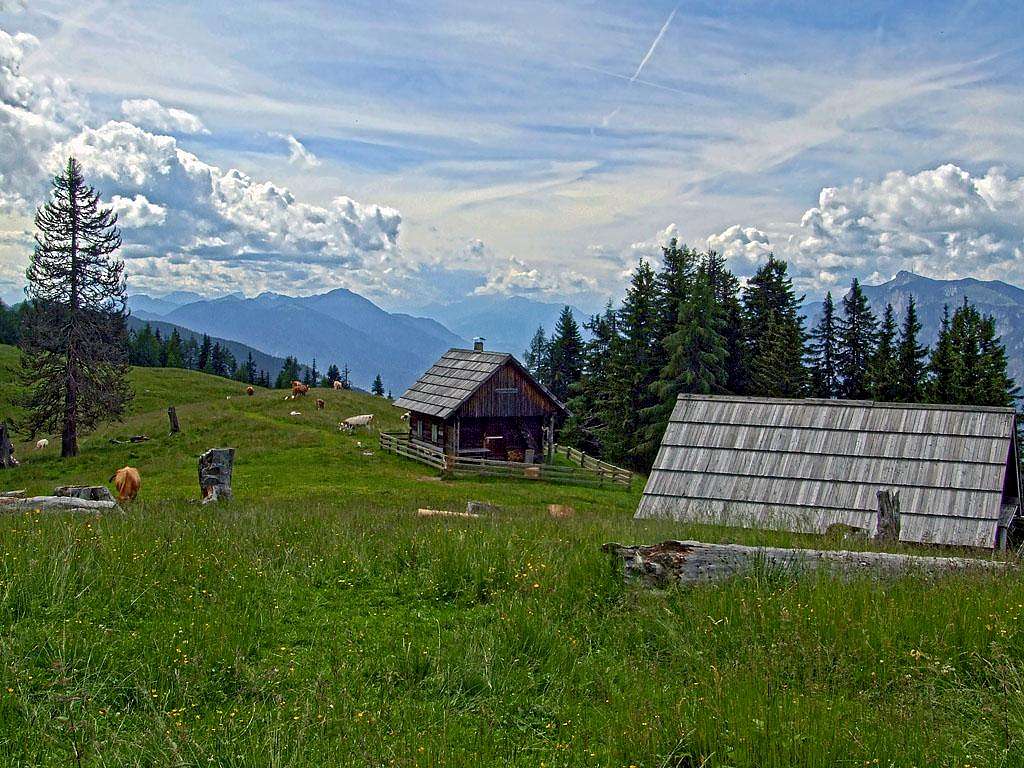 Blekova alpine meadow
