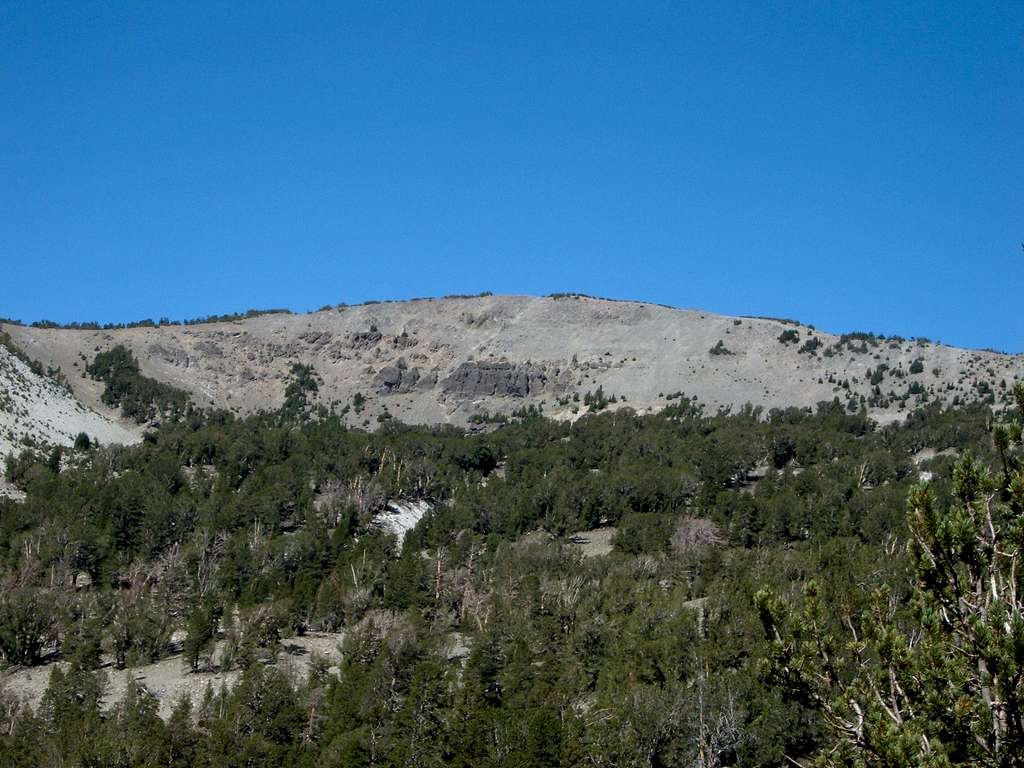 Relay Peak in July