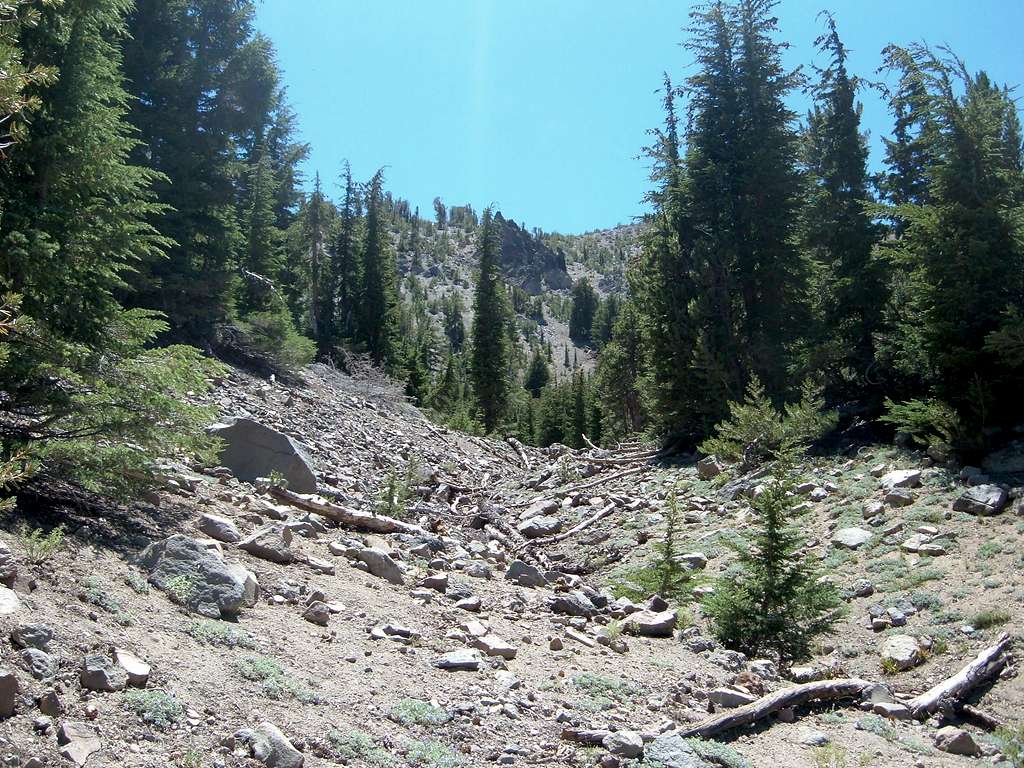 One route from the Mount Rose Trail