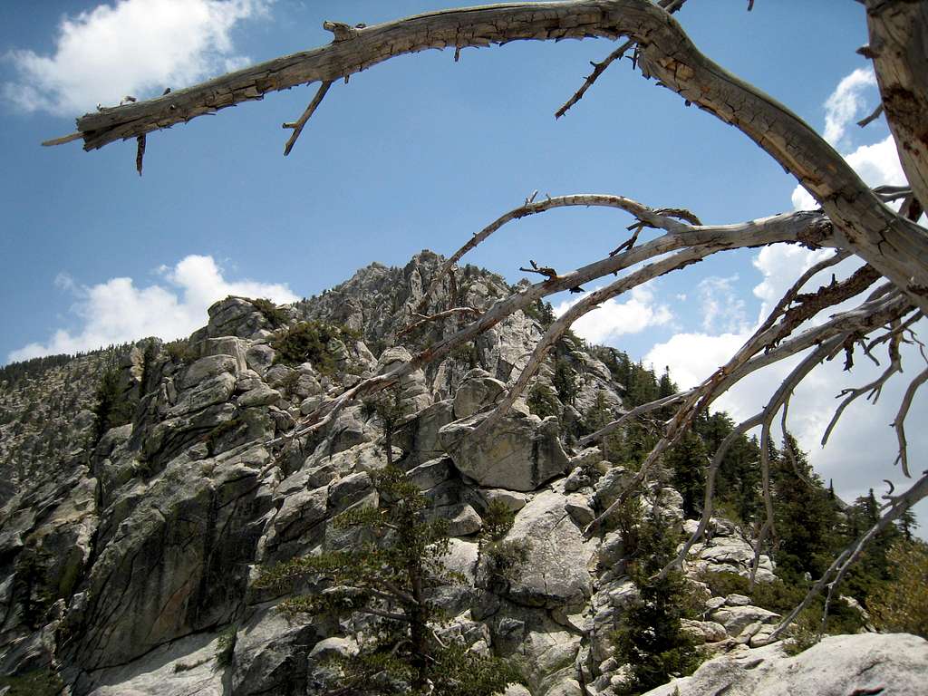 Tahquitz Peak from Saddle SE of Tahquitz Rock