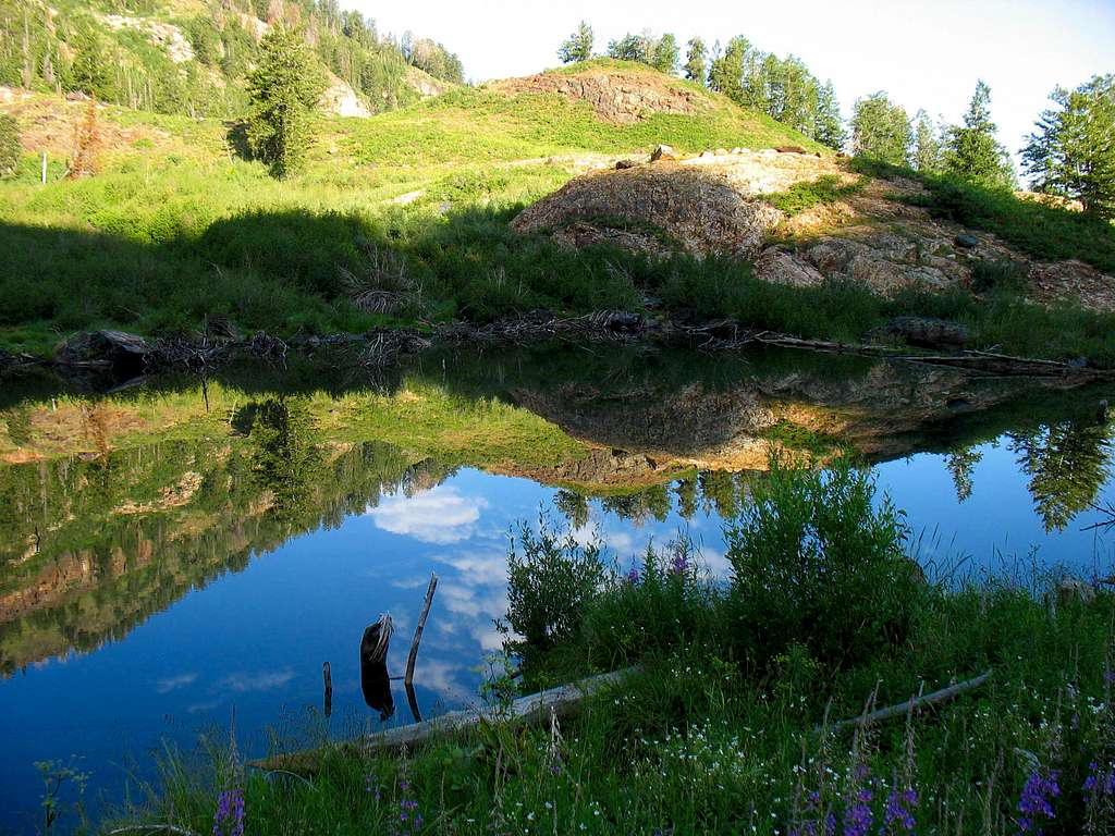 Broads Fork Pond Reflection