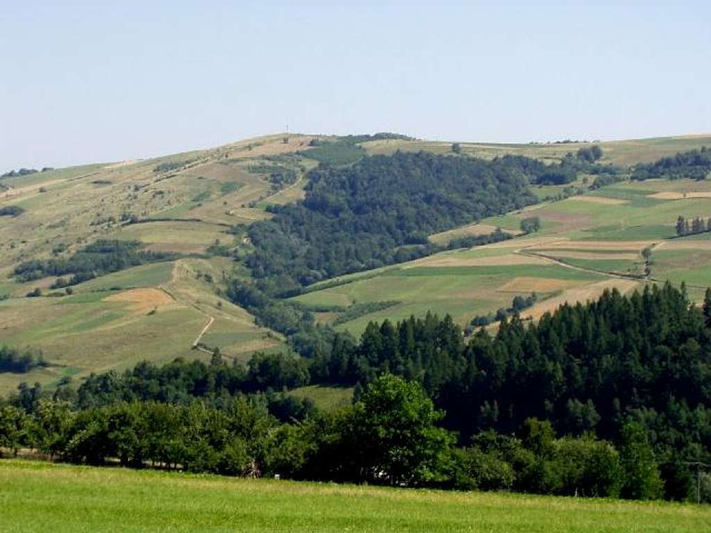 The southern slope of Mount Grzywacka (567 m)