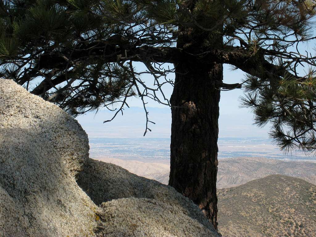 View NE from near summit of Winston Ridge