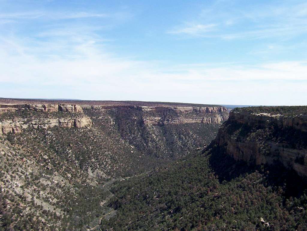 Mesa Verde Canyon