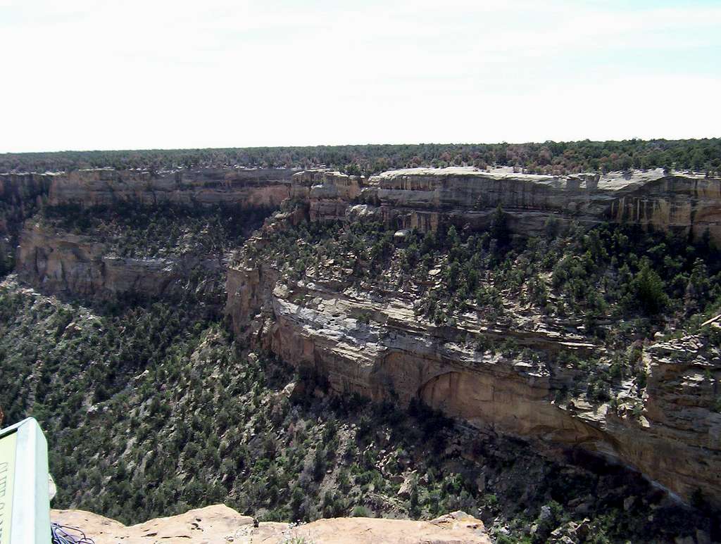 Mesa Verde Canyon Vista