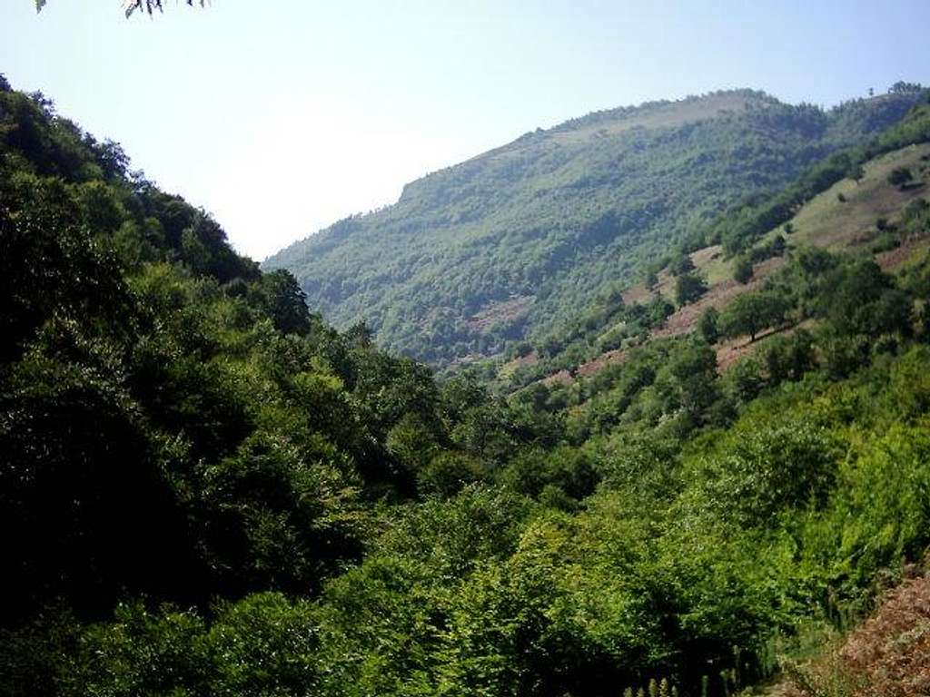 MeshaSo valley