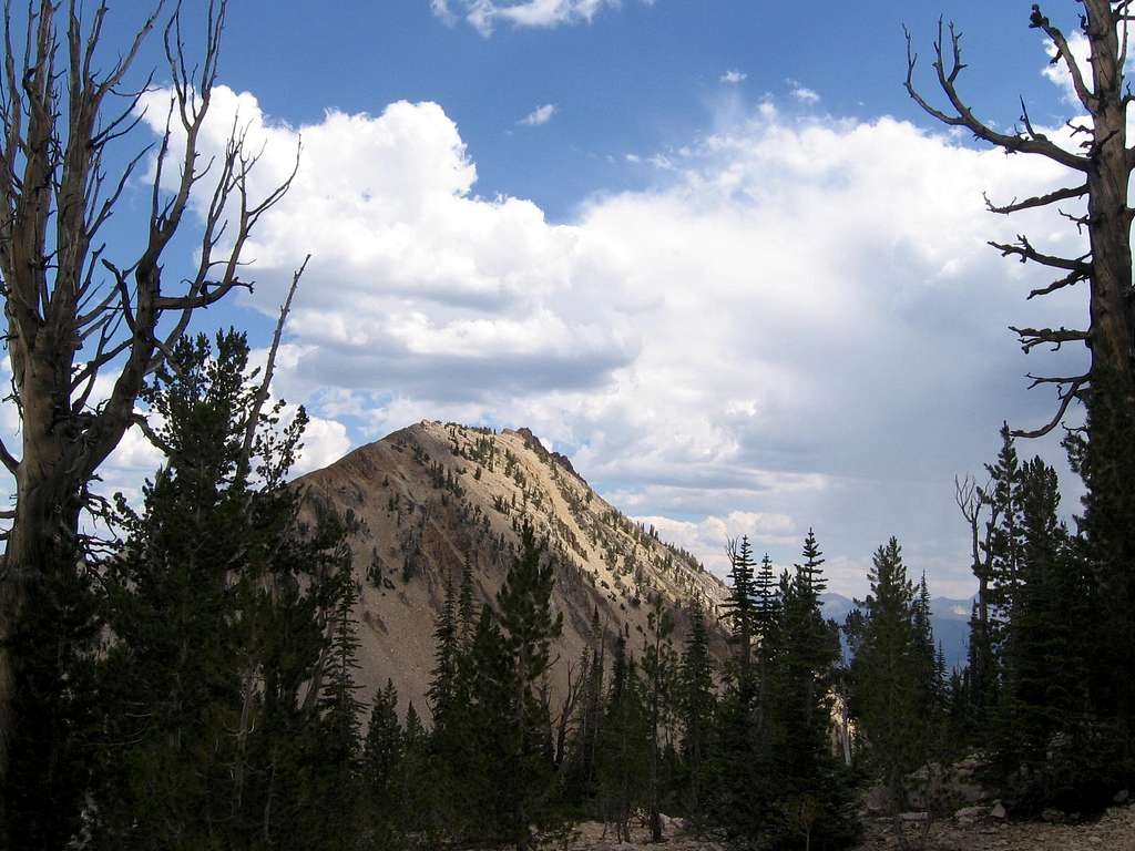 framed view of Imogene Peak